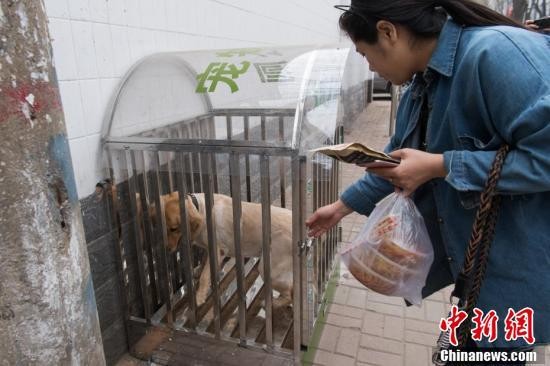 山西太原街头现狗狗公厕提倡文明养犬