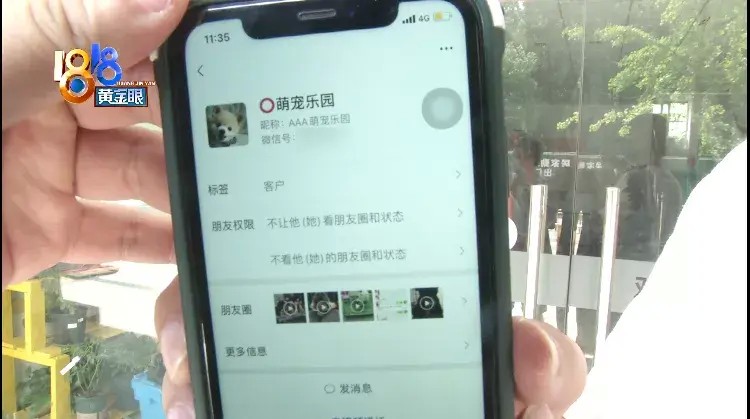 网上买的“比熊”，卖家用上“秘籍”