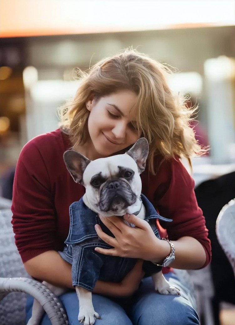 法国斗牛犬为何“热度不再”？网友：不会再养了